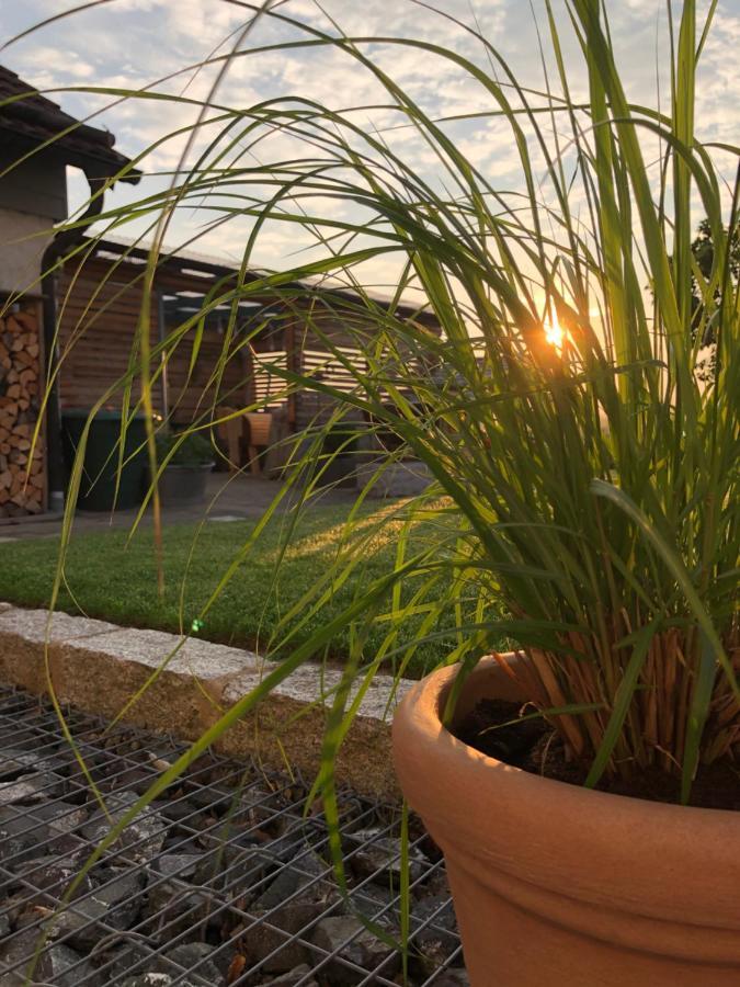 Ferienwohnung Thiergarten Mistelgau Eksteriør billede